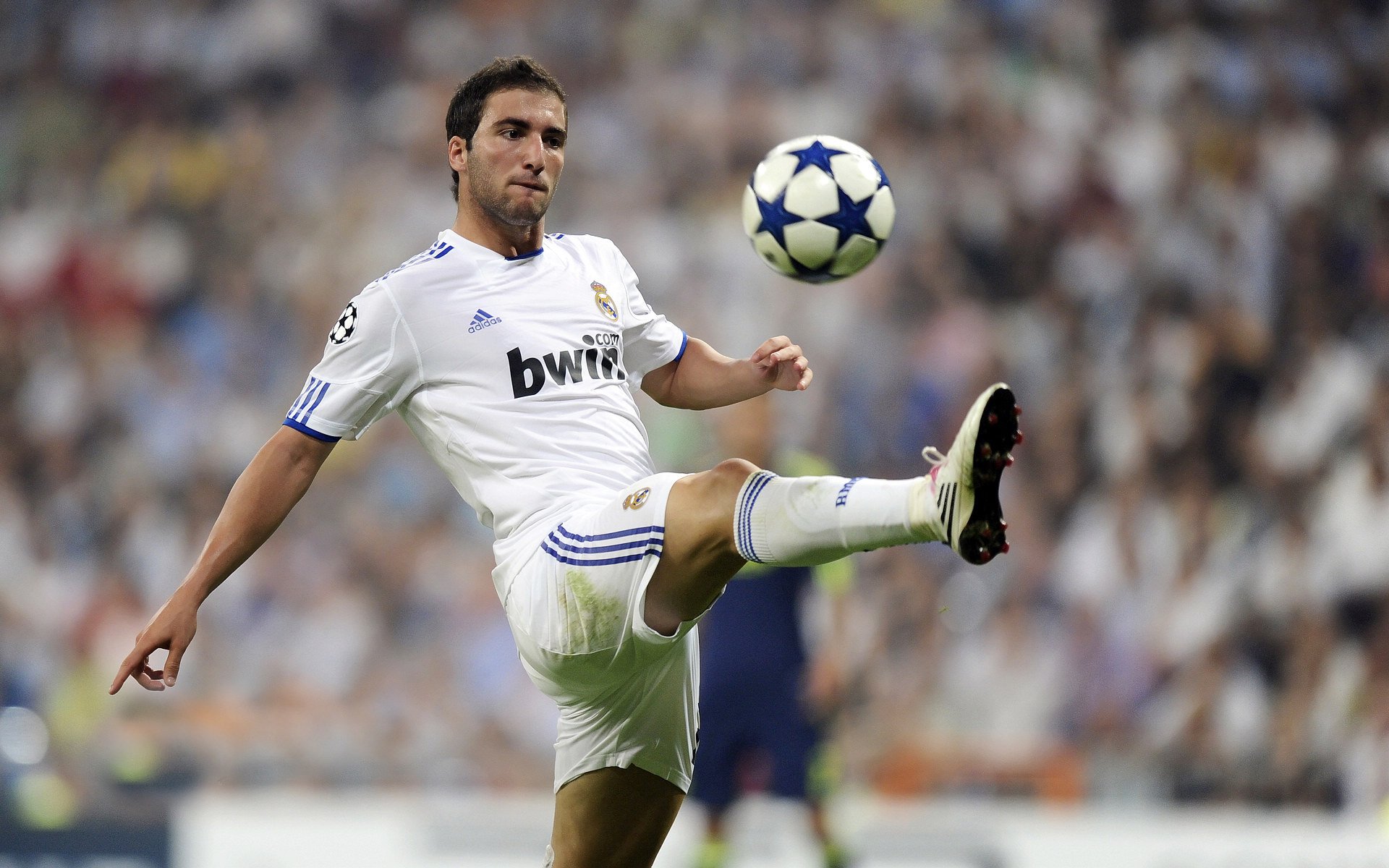 赛事焦点数据榜实时刷新，赛事热度